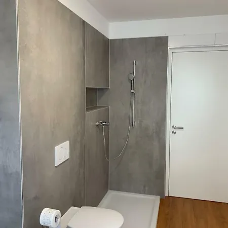 Salzkammergut Apartment Gmunden